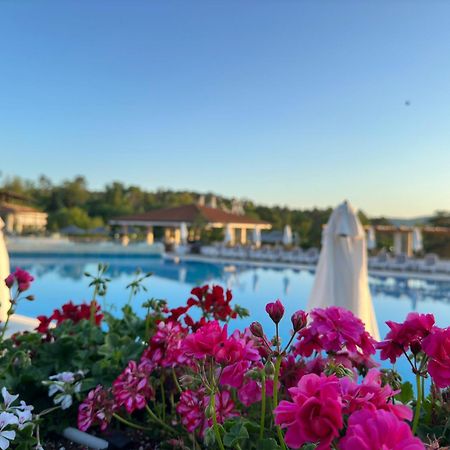 Sm Lovely Apartments On The First Line In Sozopol Extérieur photo