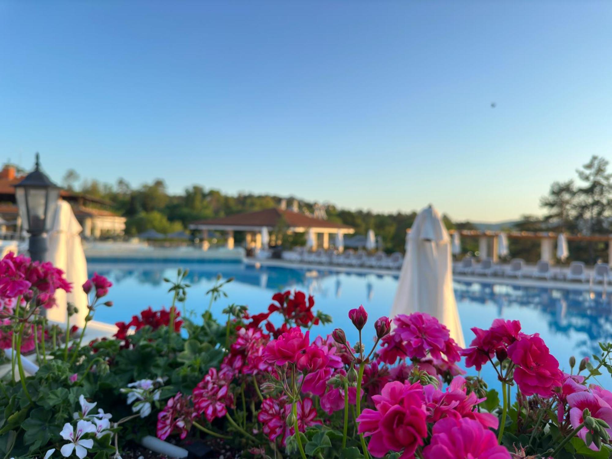 Sm Lovely Apartments On The First Line In Sozopol Extérieur photo